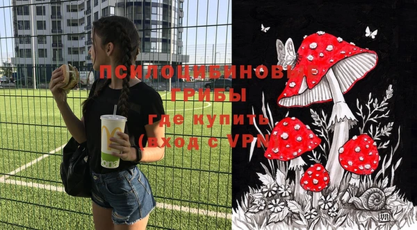 амф Абинск