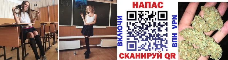 купить наркотики цена  Щёкино  Конопля ГИДРОПОН 